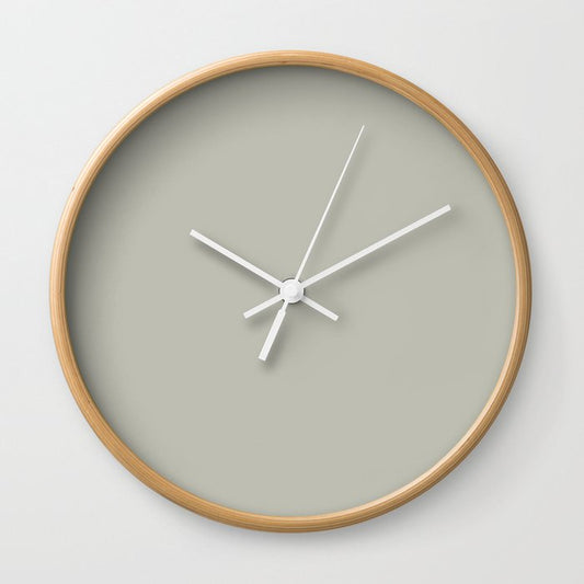 Smokey Pastel Green Grey Solid Color Pairs 2023 Trending Color HGTV Austere Gray HGSW6184 Wall Clock