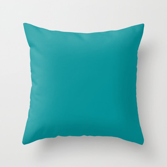 Summer Fun Green Blue Solid Color Pairs Sherwin Williams Splashy SW 6942 Throw Pillow