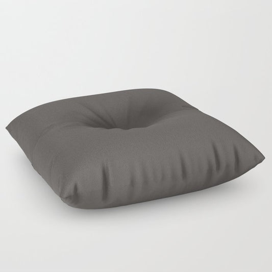 Ultra Dark Gray Solid Color Pairs 2023 Trending Hue Dutch Boy Ebony Sky 438-6DB Floor Pillow
