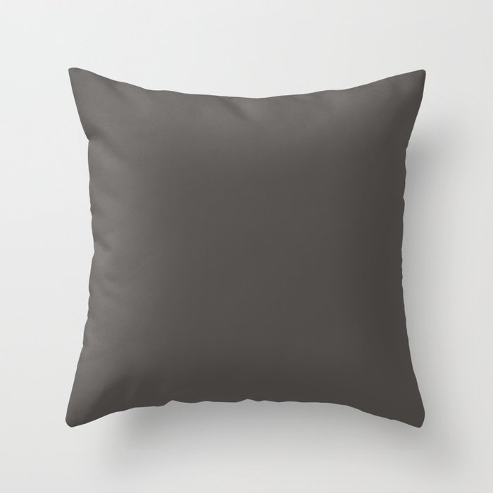 Ultra Dark Gray Solid Color Pairs 2023 Trending Hue Dutch Boy Ebony Sky 438-6DB Throw Pillow