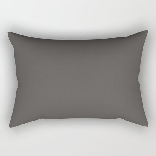 Ultra Dark Gray Solid Color Pairs 2023 Trending Hue Dutch Boy Ebony Sky 438-6DB Rectangle Pillow