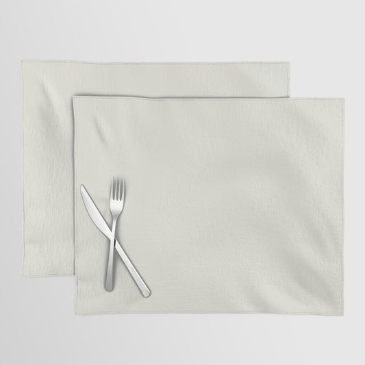 Ultra Pale Veiled Gray - Grey Solid Color Pairs PPG Gypsum PPG1006-1 - All One Shade Hue Colour Placemat
